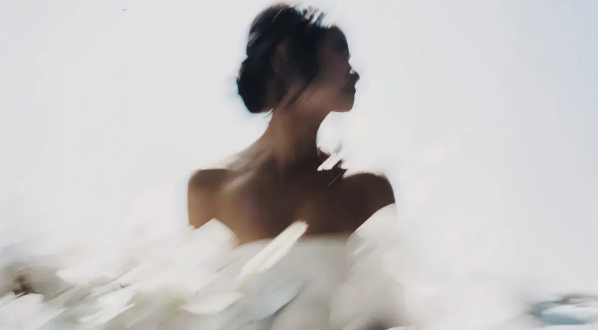 Luxe Lumière
