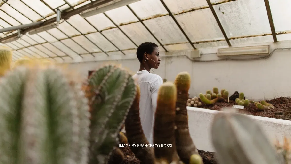 Veritas - Archipelago Presets