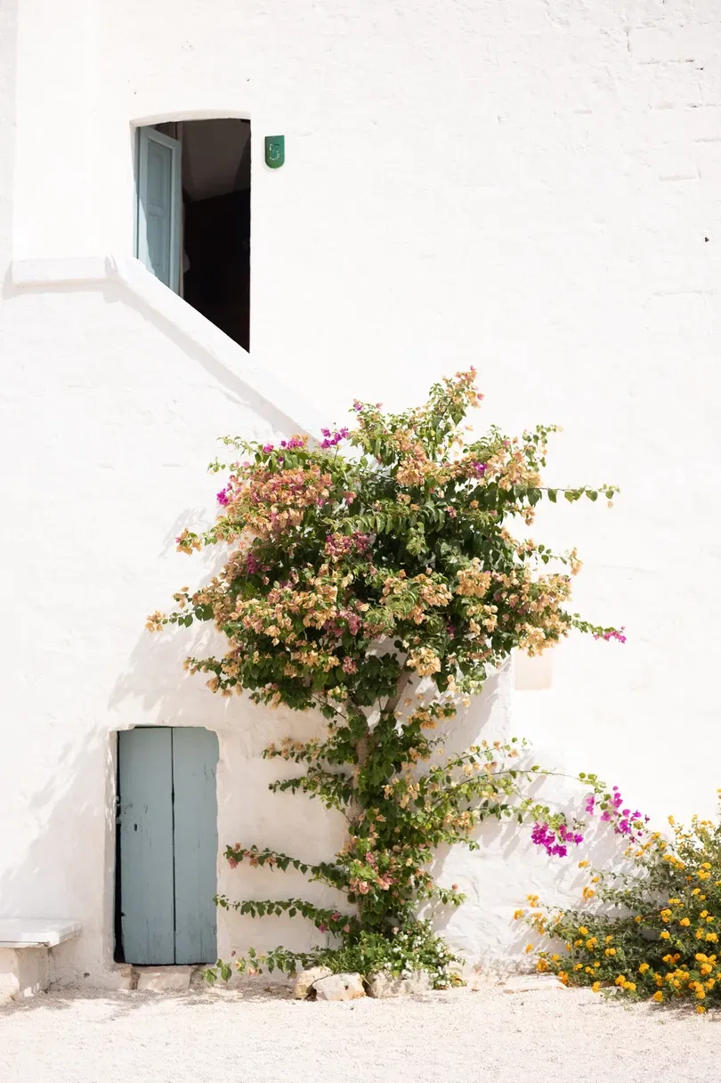 Edit like a pro with Julia \u0026 Gil and Imagen, image size:810x1216